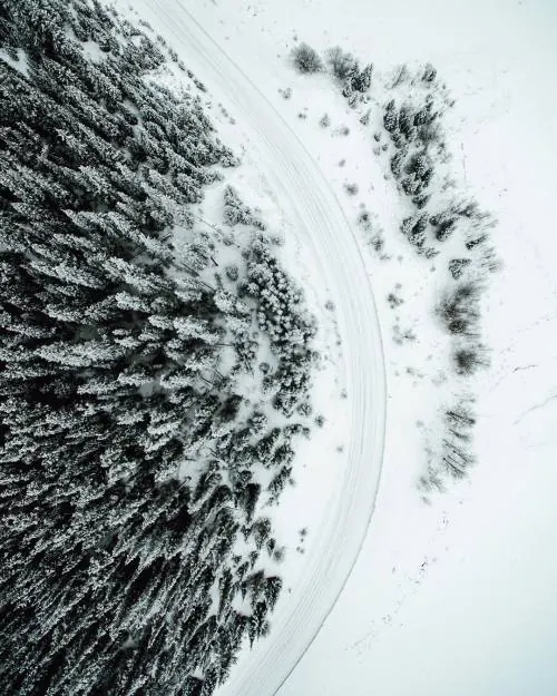 Aerial Forest and Road Landscape, photographic, organic, monochrome