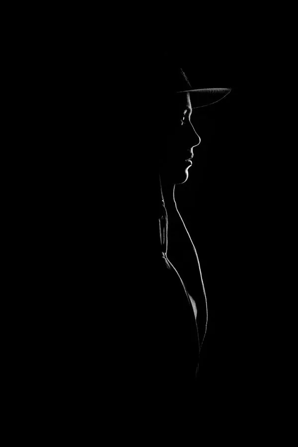 Line Art Profile Silhouette, minimal, monochrome, high-contrast