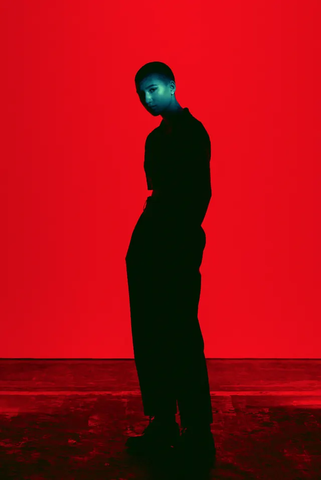 Red and Black Silhouette Portrait, minimal, photographic, vibrant