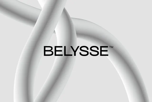 Belysse Wordmark with Abstract Ribbon Graphic, minimal, luxury, monochrome