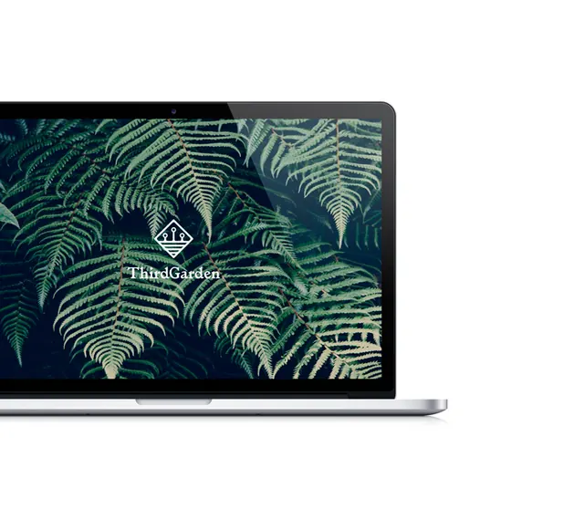 Nature-Inspired Branding Mockup, organic, minimal, dark