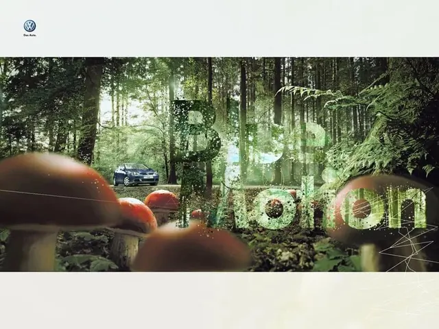 Forest Landscape with Circular Graphics, organic, photographic, earthy