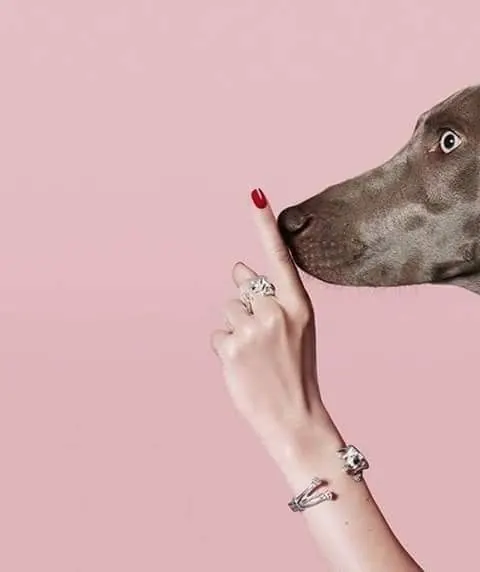 Dog and Hand Collage, minimal, playful, pastel