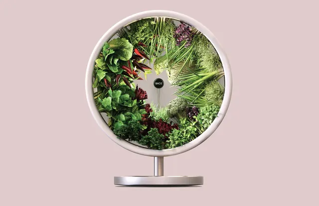 Circular Botanical Collage Mockup, organic, photographic, vibrant