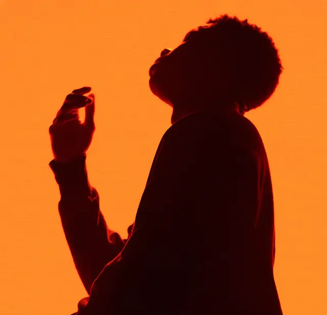 Silhouette of a Person in Orange Light, minimal, photographic, vibrant