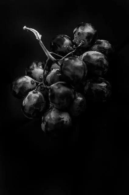 Grapes on Black Background, minimal, monochrome, dark