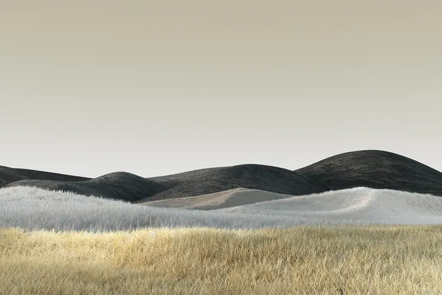Minimalist Sand Dunes Landscape, minimal, organic, muted