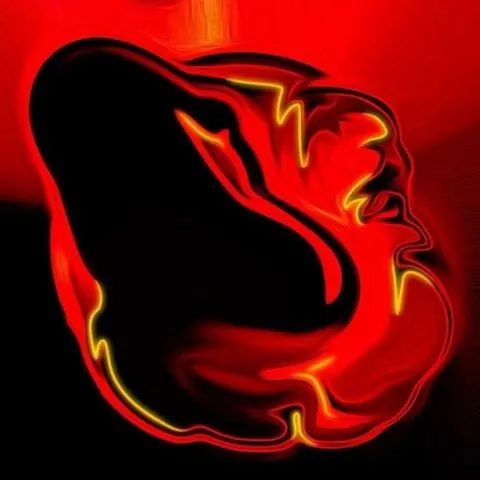 Abstract Red and Black Fluid Form, organic, gradient-heavy, vibrant