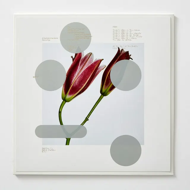 Floral Abstract Composition, minimal, swiss, light