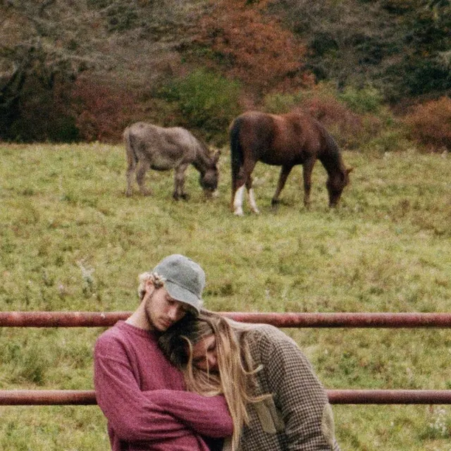 Couple in Field with Horses, photographic, organic, earthy