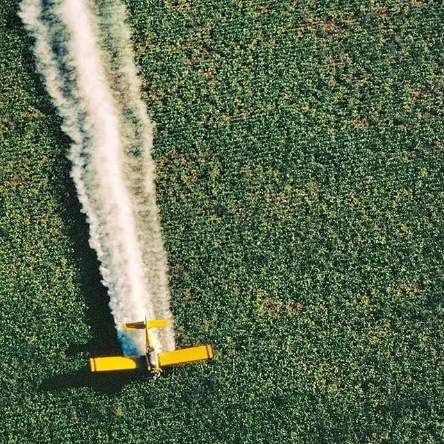 Aerial View of a Yellow Airplane, photographic, organic, vibrant