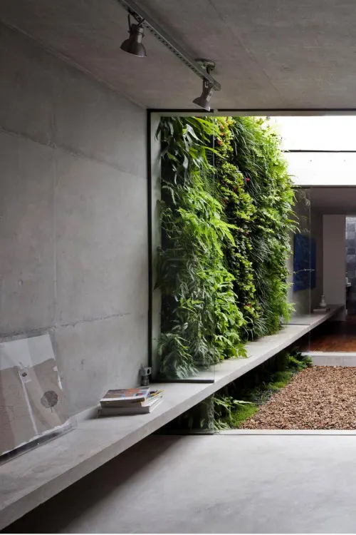 Interior Architecture with Living Wall, minimal, organic, muted