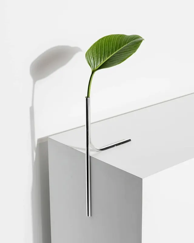 Minimalist Leaf Mockup, minimal, light-mode, light