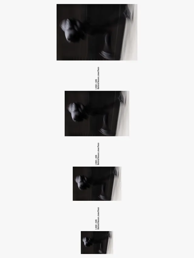 Monochrome Portrait Identity System, minimal, monochrome, monochrome