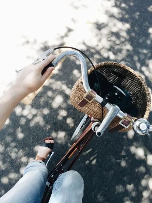 Person Holding Bicycle Basket, photographic, organic, muted