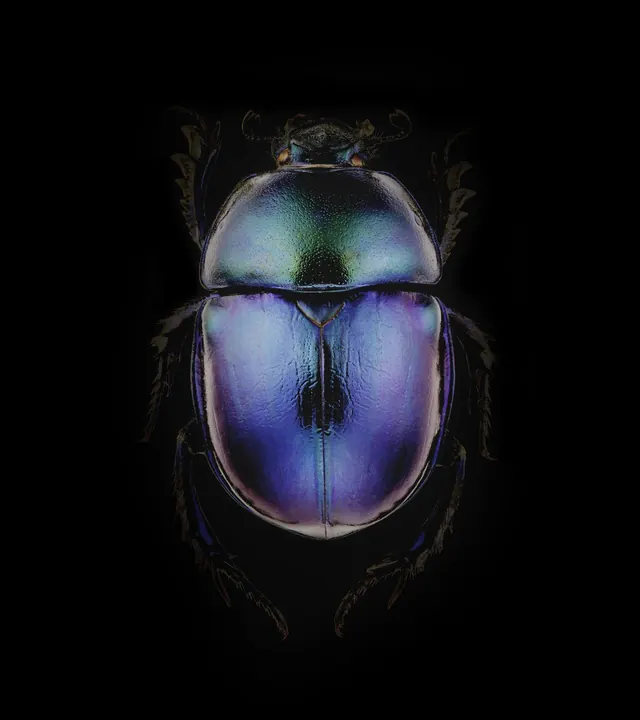 Iridescent Beetle Illustration, organic, gradient-heavy, dark