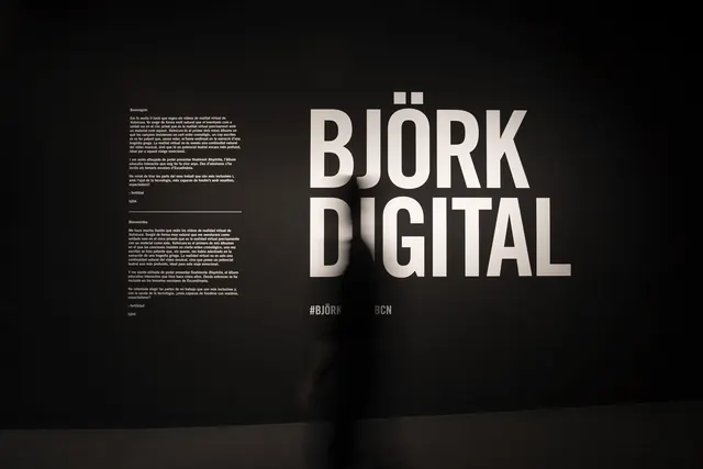 Björk Digital Wordmark and Layout, minimal, brutalist, dark