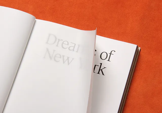 Editorial Typography Mockup, minimal, swiss, vibrant