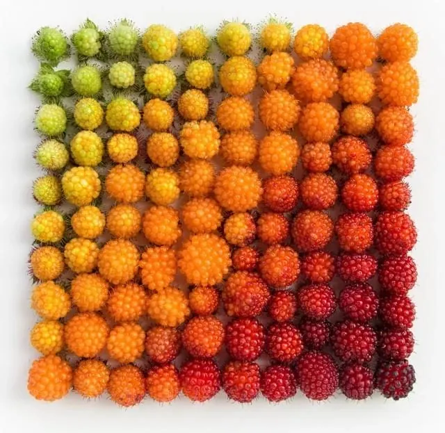 Gradient Sphere Pattern, geometric, abstract, vibrant