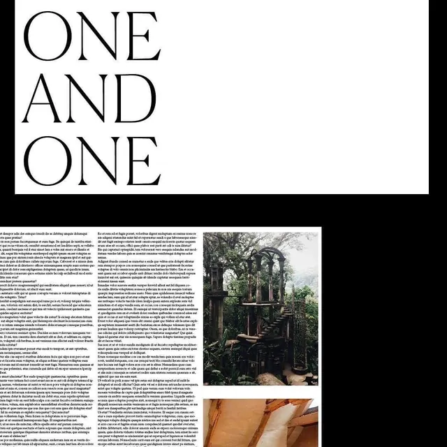 One and One Editorial Layout, minimal, swiss, high-contrast