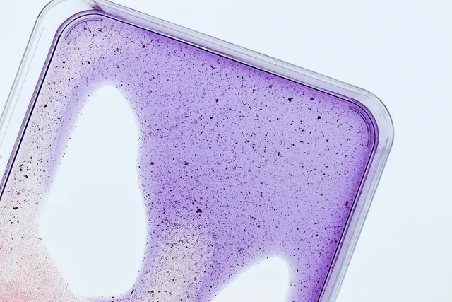 Abstract Purple Gradient Texture, organic, gradient-heavy, vibrant