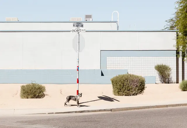 Minimalist Urban Street Scene Mockup, minimal, corporate-clean, light