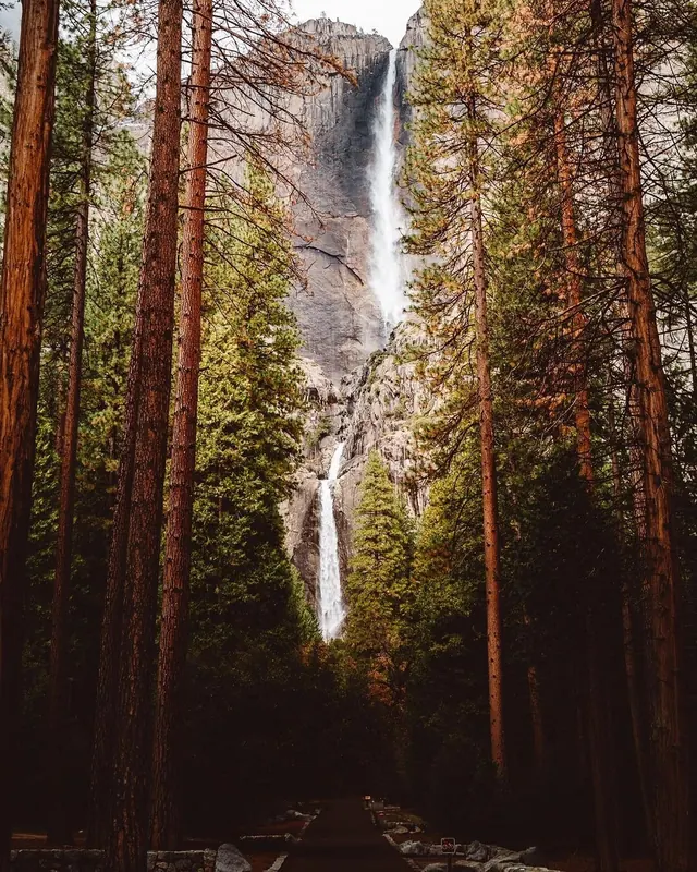 Waterfall in a Pine Forest, photographic, organic, earthy