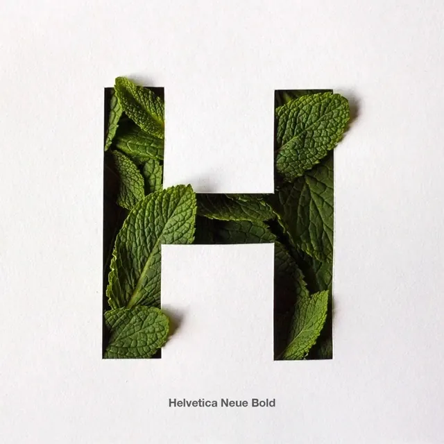 Helvetica Neue Bold Letter H with Leaves, minimal, swiss, light