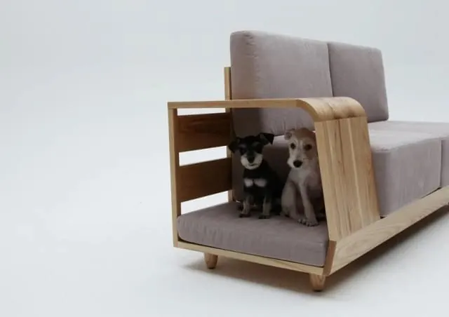Modern Furniture with Integrated Pet Bed, minimal, organic, muted