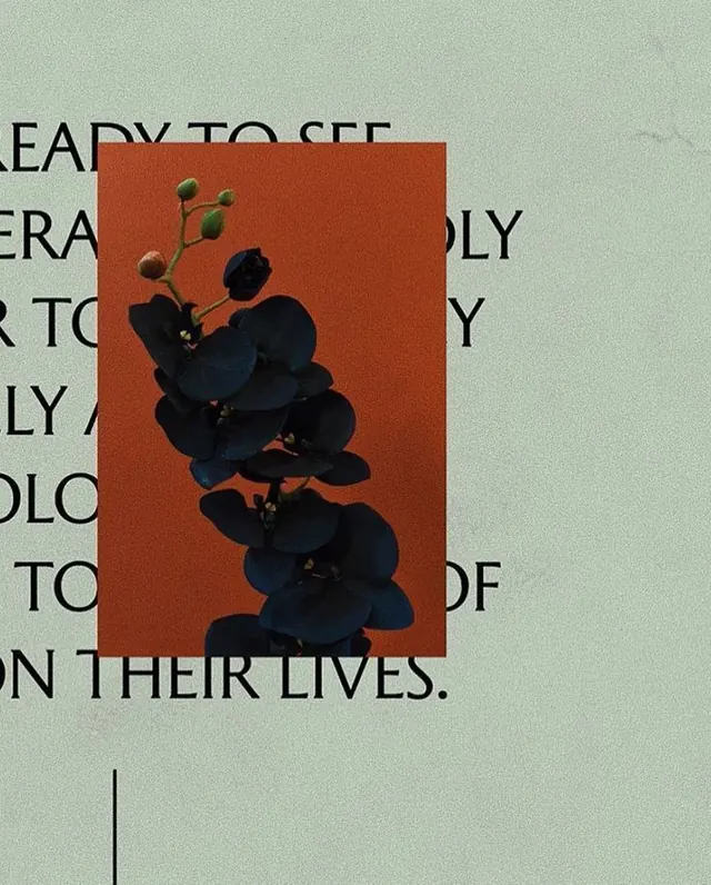 Typography and Grapes Collage, brutalist, editorial, high-contrast