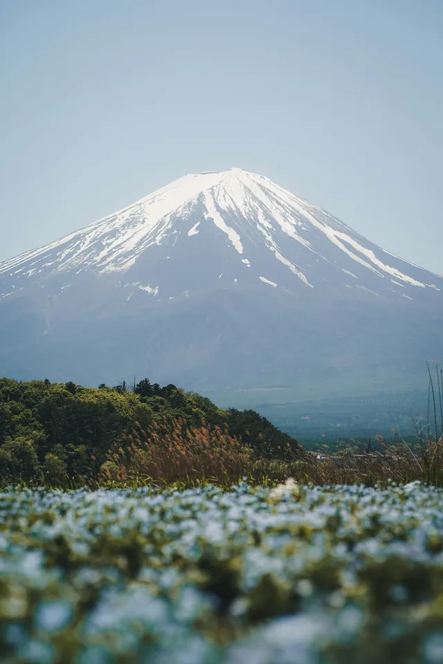 Snow-Capped Mountain Landscape, photographic, organic, light