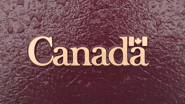 Canada Wordmark on Textured Background, luxury, corporate-clean, dark