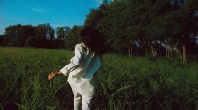 Person in Field Photograph, photographic, organic, vibrant