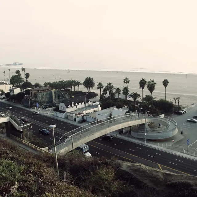 Coastal Highway Overpass with Palm Trees, photographic, minimal, muted