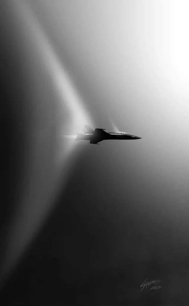 Silhouette of a Bird in Light, minimal, monochrome, monochrome