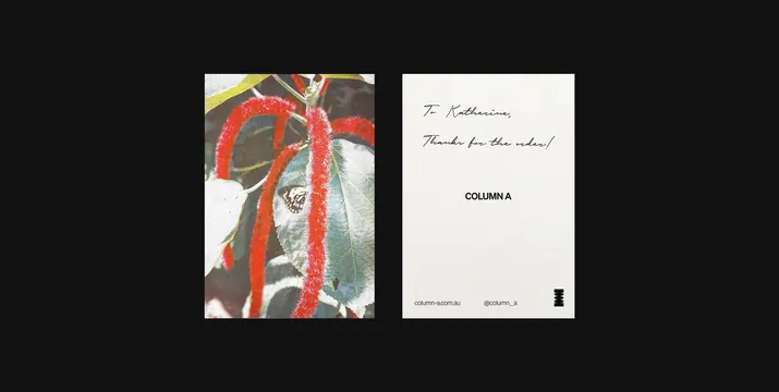 Abstract Line Art and Typography Layout, minimal, editorial, high-contrast
