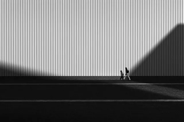 Minimalist Silhouette and Shadow Play, minimal, monochrome, monochrome