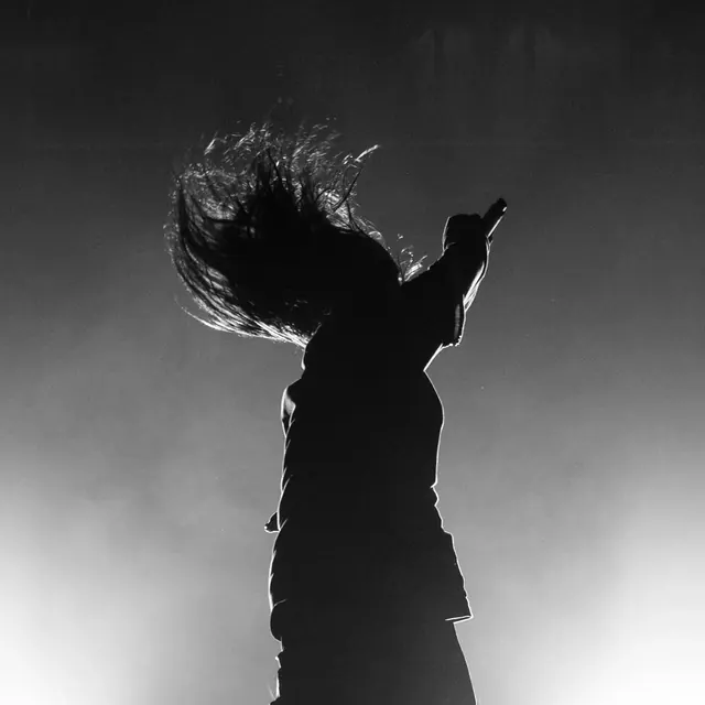 Silhouette of a Person with Wind-Swept Hair, monochrome, photographic, monochrome