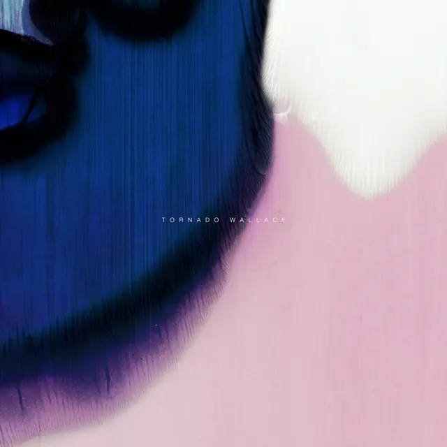 Abstract Portrait with Text Overlay, abstract, gradient-heavy, high-contrast