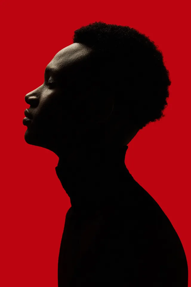 High-Contrast Silhouette Portrait, minimal, photographic, vibrant