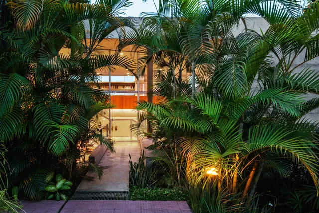 Tropical Interior Garden, photographic, organic, dark