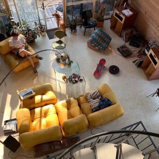 Cozy Interior Living Space, photographic, organic, warm