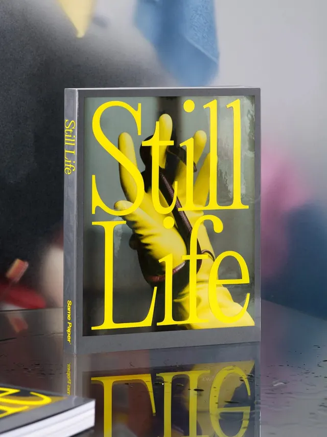 Still Life Book Cover Design, minimal, editorial, high-contrast