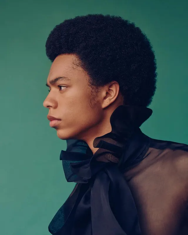 Portrait of a Person with Afro Hair, photographic, minimal, cool
