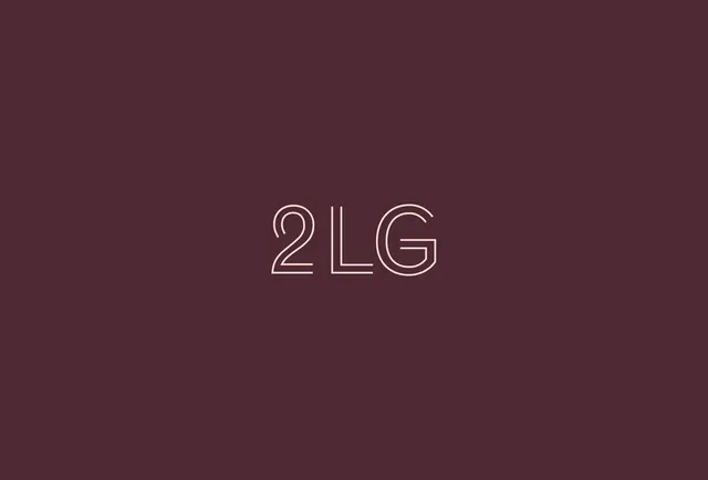 2LG Wordmark, minimal, corporate-clean, dark