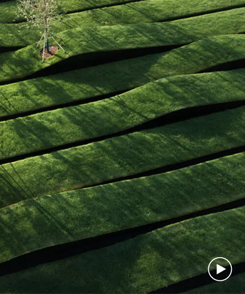 Terraced Tea Plantation Aerial View, organic, photographic, earthy