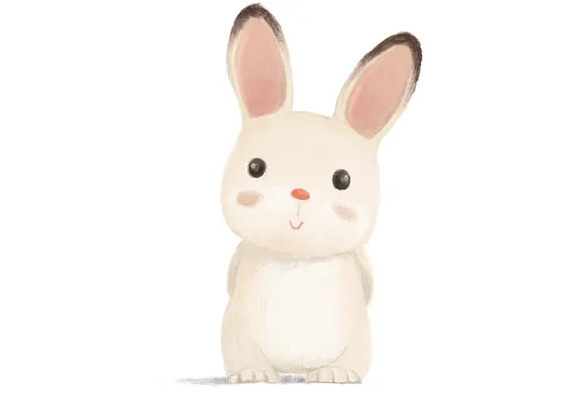 Illustrated White Rabbit, illustrated, organic, light