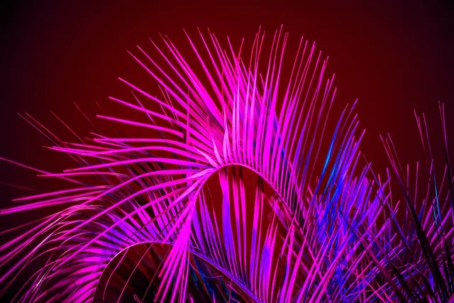 Neon Abstract Fireworks, gradient-heavy, abstract, dark