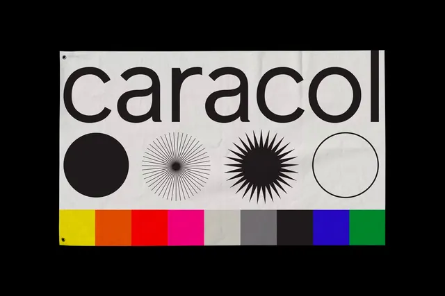 Caracol Brand Identity Elements, minimal, corporate-clean, high-contrast