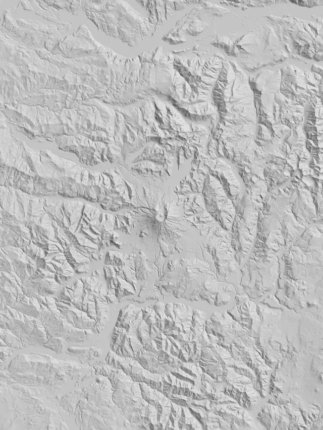 Textured White Relief Pattern, monochrome, organic, monochrome